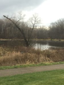 View across the pond